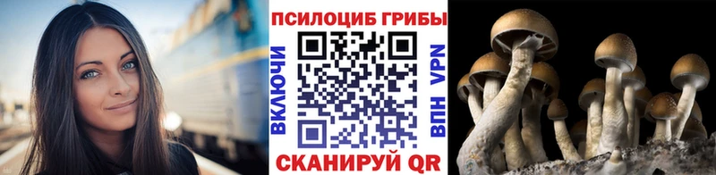 Псилоцибиновые грибы Psilocybine cubensis  даркнет сайт  Сухой Лог 