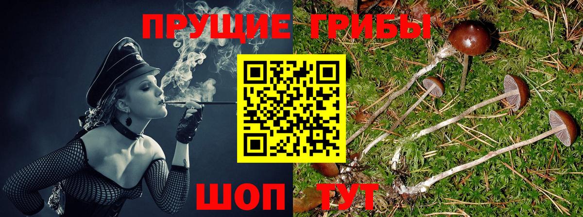 Галлюциногенные грибы Magic Shrooms  Вход с VPN  Сухой Лог 