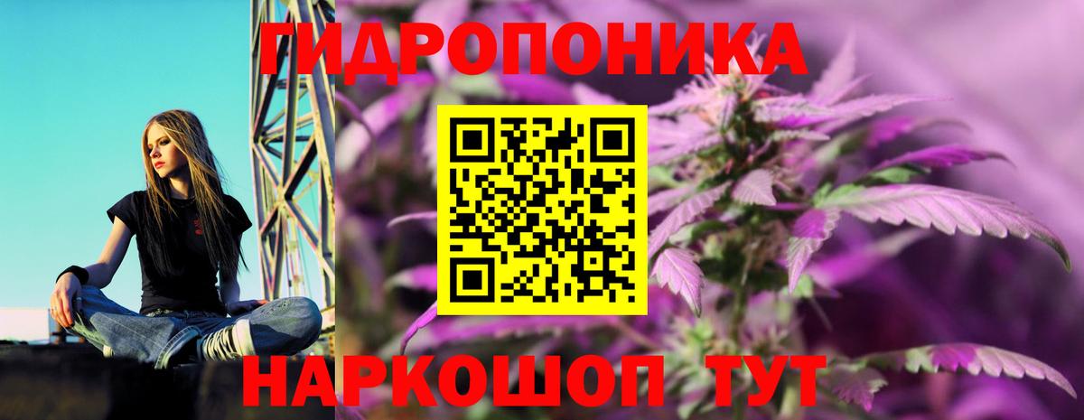 Бошки марихуана Amnesia  Марихуана THC 21%  Вход с VPN  Сухой Лог 